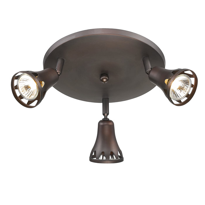 Dicilighting Modern 3 Light Multi Directional Ceiling Fixture