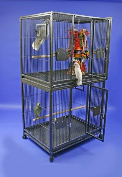 double bird cage for sale