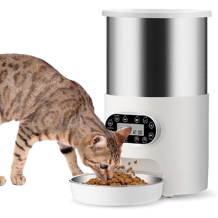 4 day cat feeder