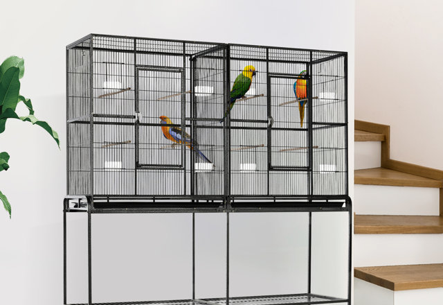 Top-Rated Bird Cages