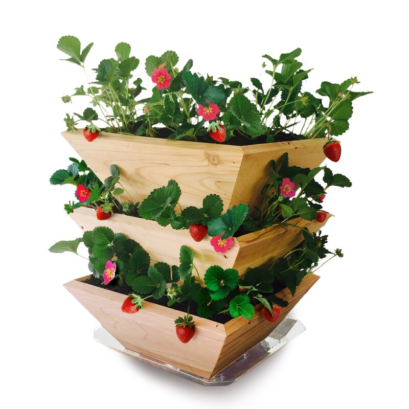 Freeport Park Borgen Strawberry Patch Tower 1 Ft X 1 Ft Wood