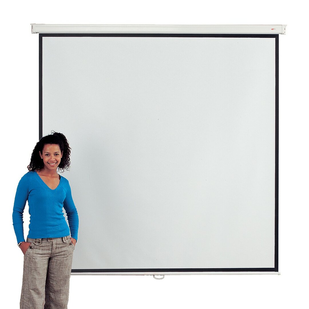 White Manual Projection Screen white