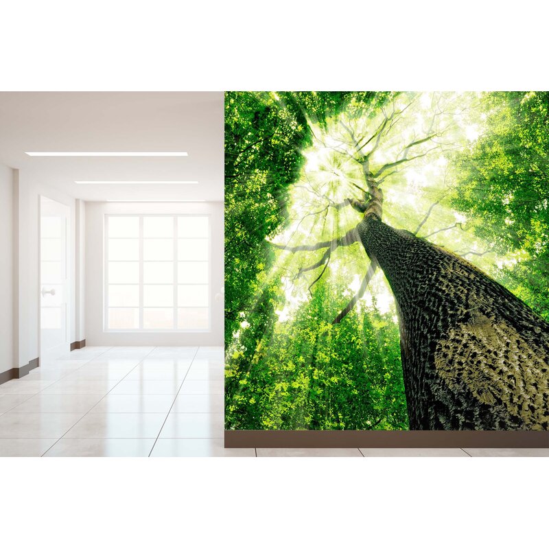 Download Aj Wallpaper 3d Landscape Tree 012 Paintable Wall Mural Wayfair