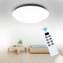 remote overhead light