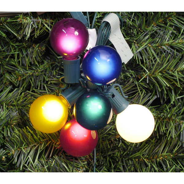 multi bulb socket
