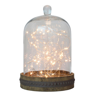 Best Barton 120 Light 20' LED Silver String Fairy Lights By The Holiday Aisle Outdoor Lighting Barton 120 Light 20' LED Silver String Fairy Lights By The Holiday Aisle Outdoor Lighting