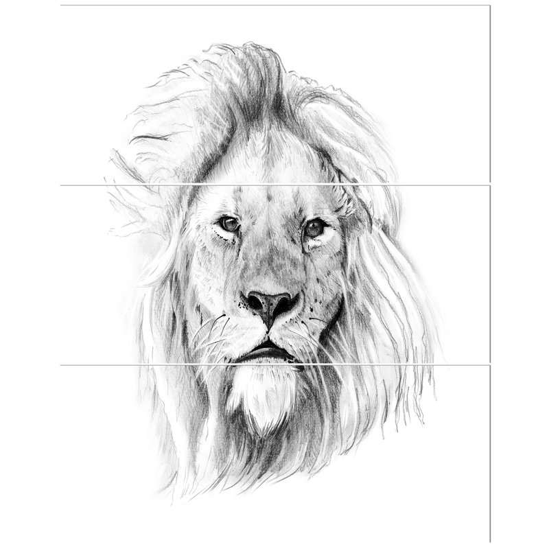 East Urban Home Pencil Lion Sketch In Black And White Oil