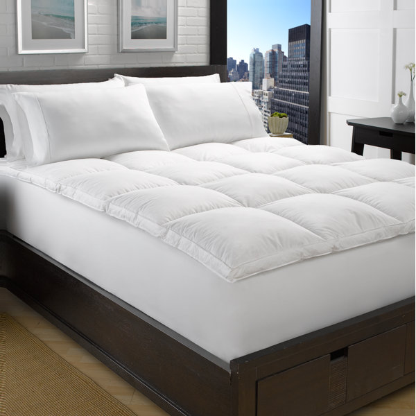 Goose Down Feather Bed Wayfair