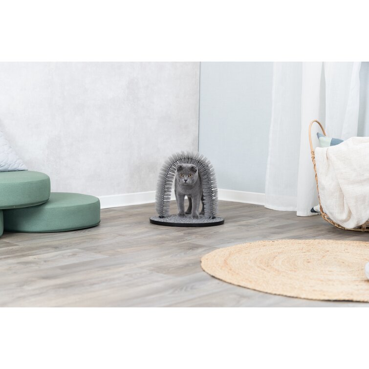 Tucker Murphy Pet™ Lakely Scratching Board & Reviews | Wayfair