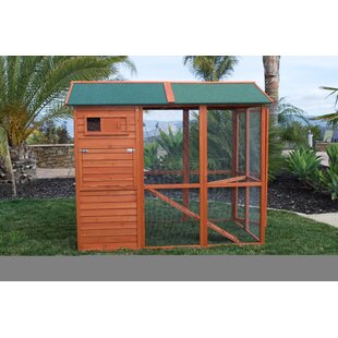 Extra Large Chicken Coops Youll Love In 2019 Wayfair