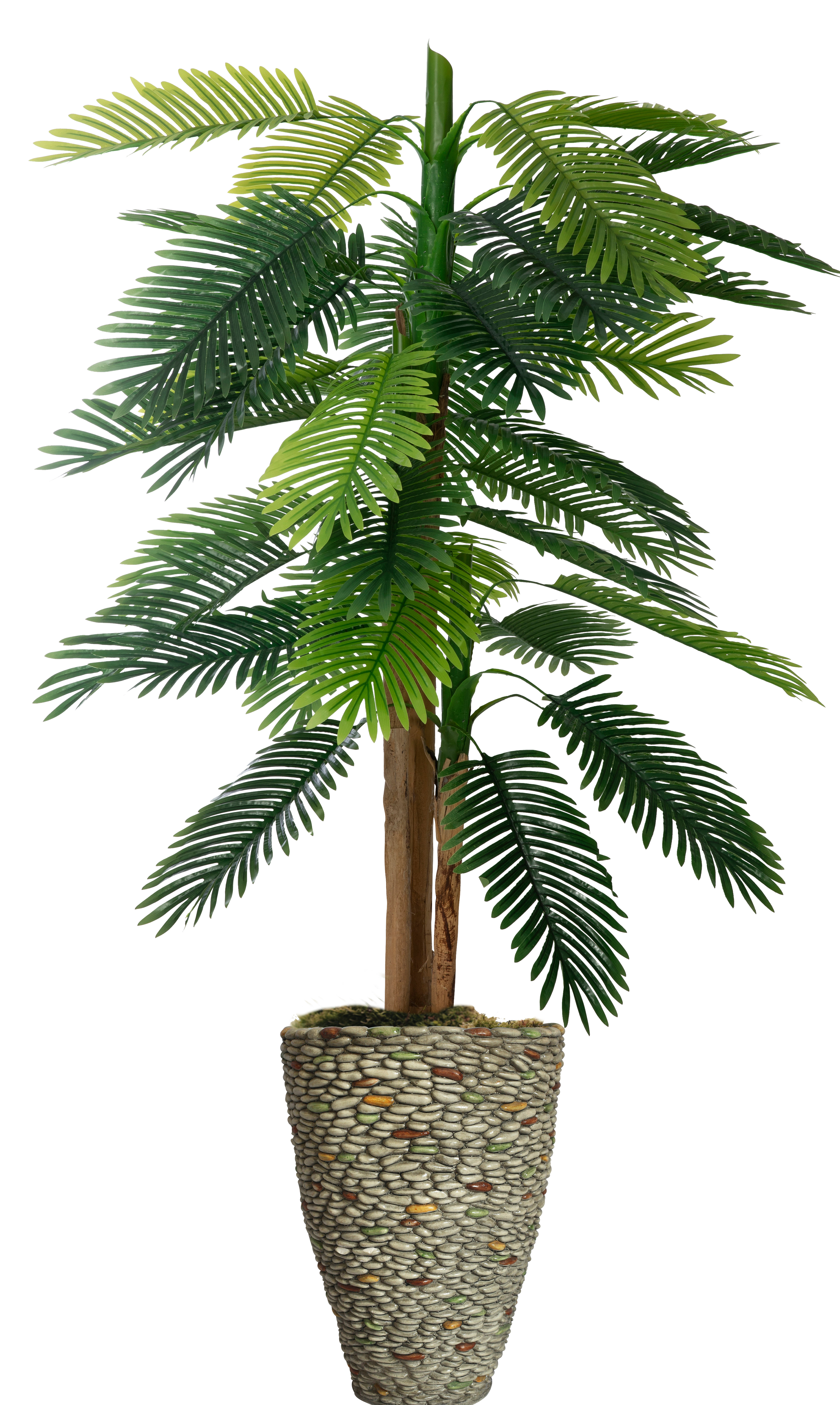 wayfair balcony planters on Bayou Breeze Real Touch Palm Tree In Planter Wayfair