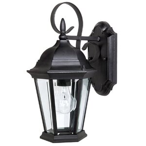 Hounsfield Traditional 1-Light Outdoor Wall Lantern