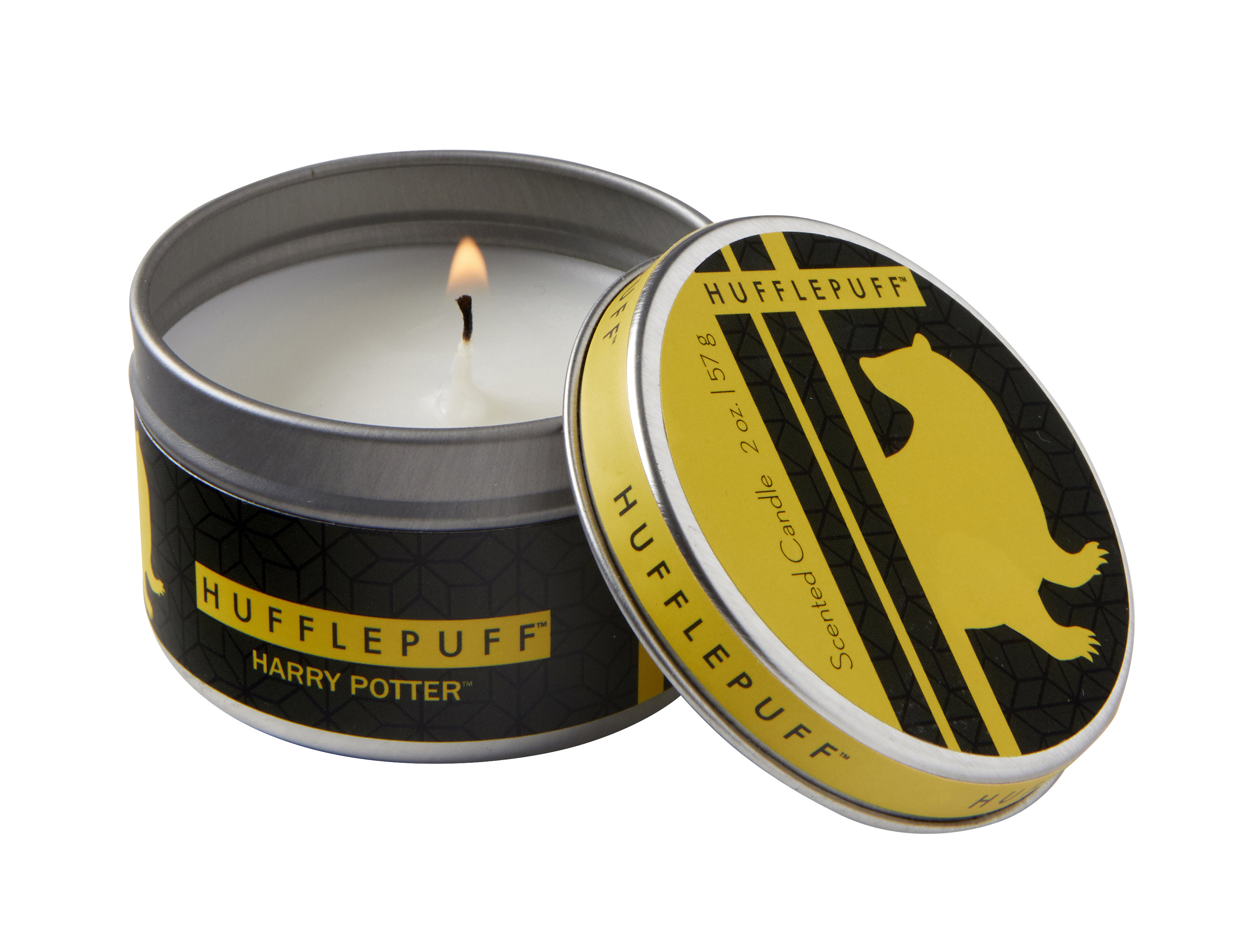 Game of Thrones House Stark Scented Candle Scented Tin Candle Small Mint