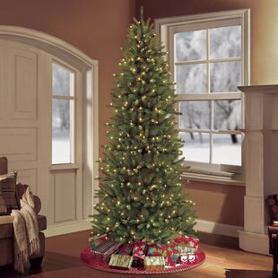 Featured image of post Slim Christmas Tree Clearance Sale