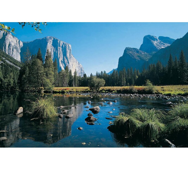 24x36 Gallery Quality Metal Art Yosemite California Bear the Trail