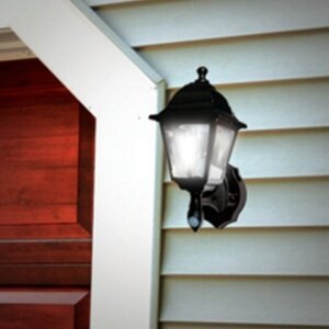 2-Light Outdoor Wall Lantern