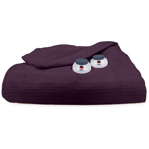 Purple Cat Meow 50 x 60 Inches w Warm Snuggly Super Soft Plush Blanket Throw 