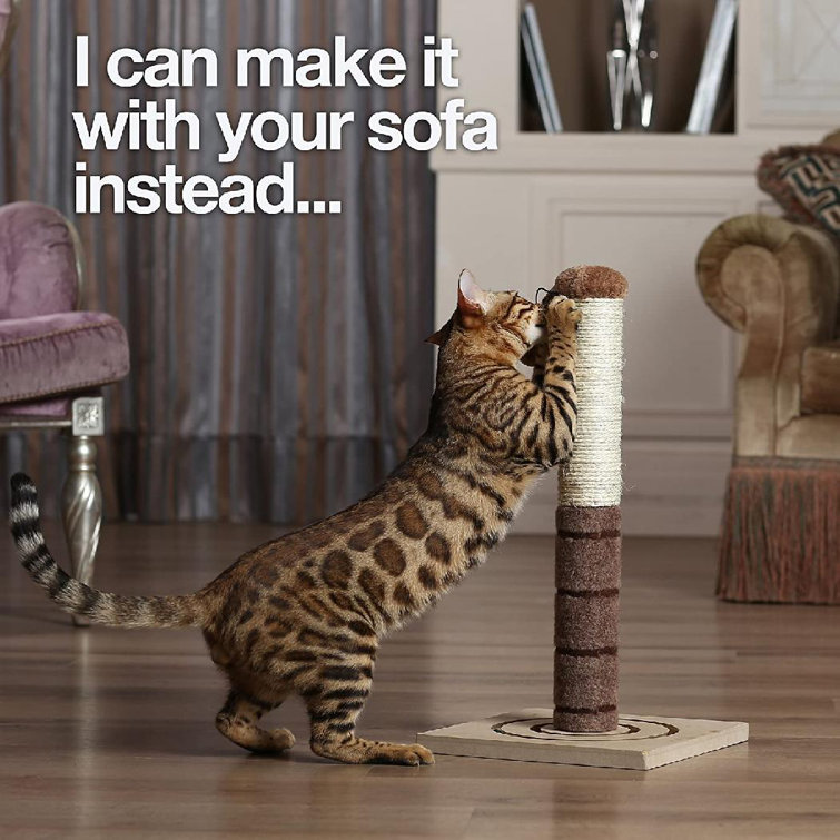 sisal pole for cats