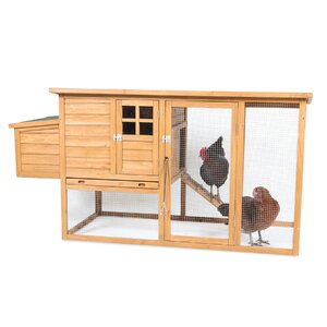 Flat Top Complete Chicken Coop with 2 Roosting Bar