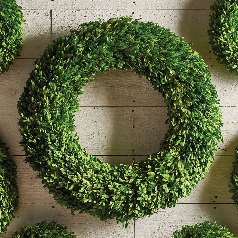 Laurel Foundry Modern Farmhouse Preserved Boxwood Wreath Reviews