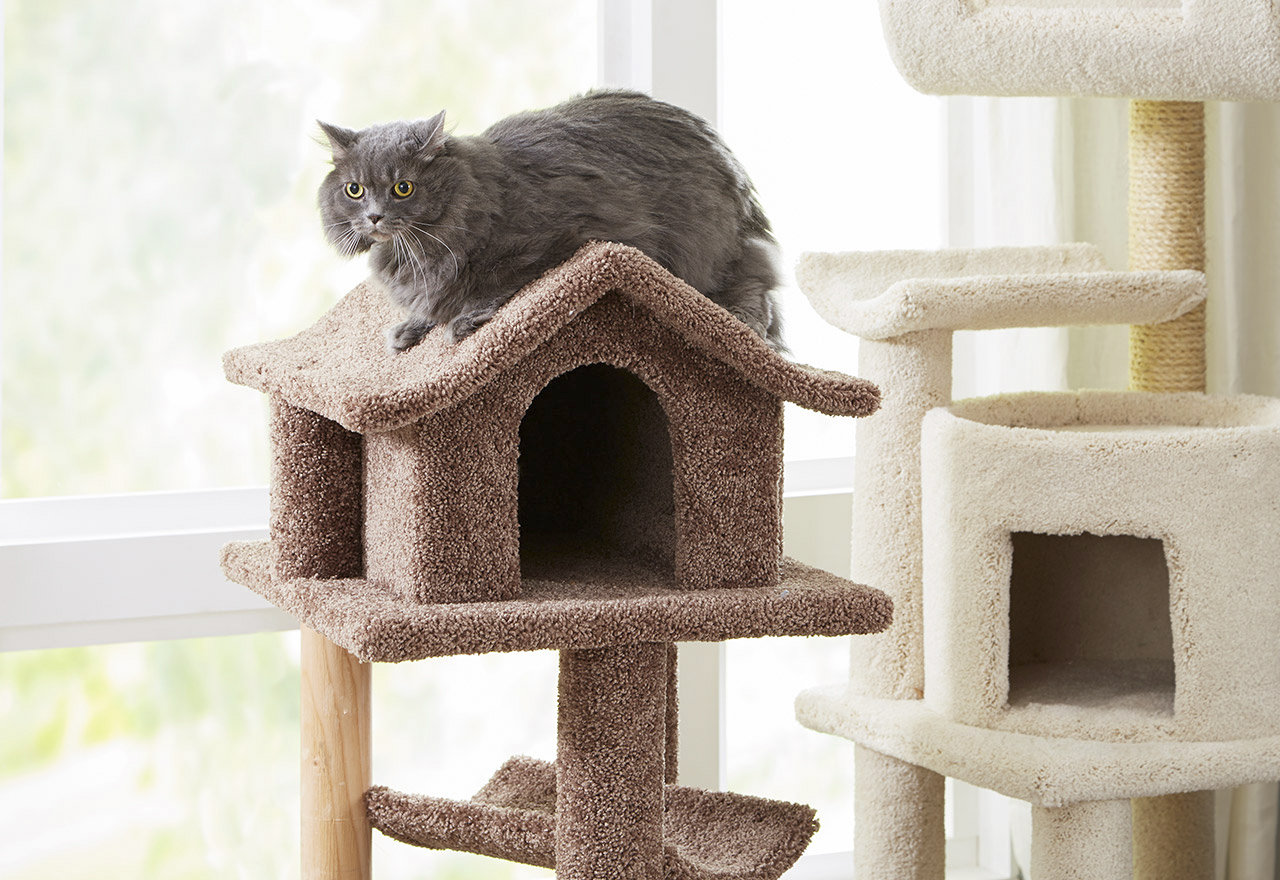 [BIG SALE] Cat Trees, Scratchers & More Feline Favorites You’ll Love In 2023 Wayfair