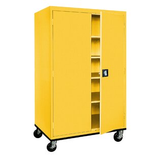 Tall Shallow Storage Cabinet Wayfair