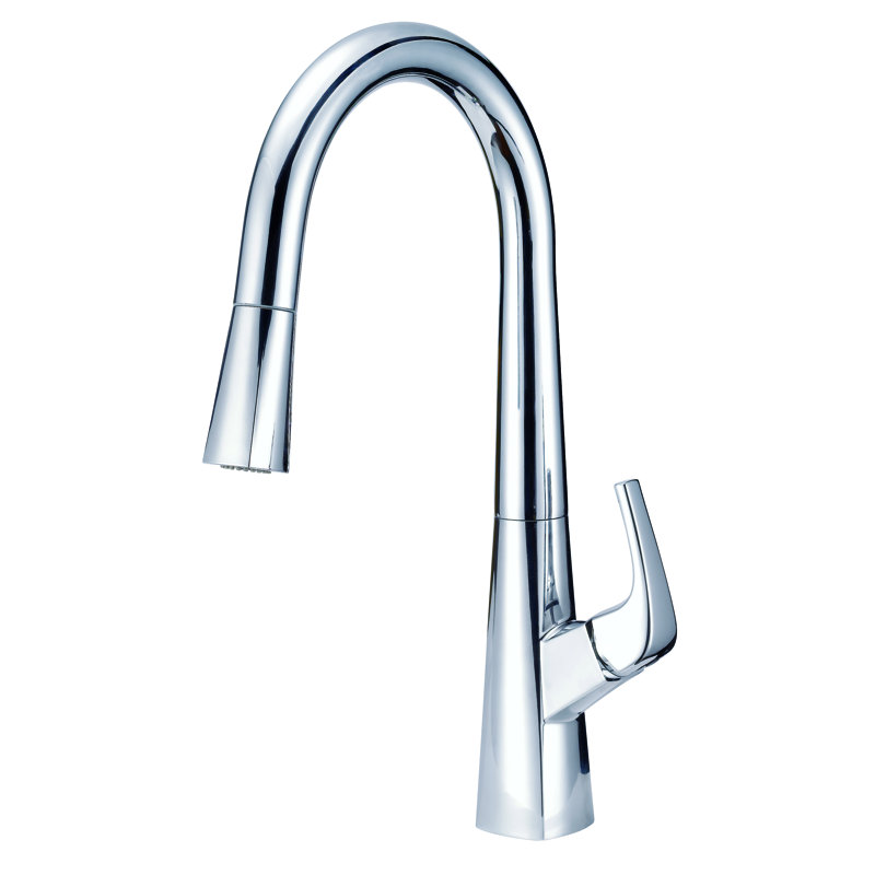 Danze Vaughn Pull Down Single Handle Kitchen Faucet With Dockforce