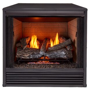 Heating Universal Vent Free Propane/Natura Fireplace Insert By ProCom