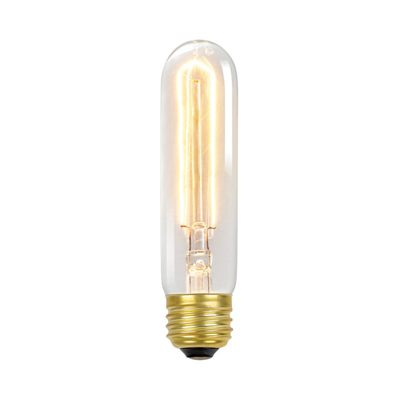 60 Watt T10 Incandescent Dimmable Light Bulb Warm White 2700k E26 Medium Standard Base Reviews Allmodern