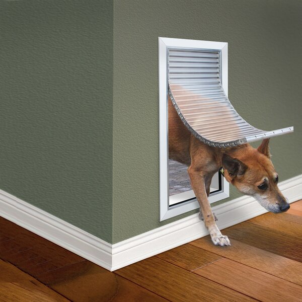 extreme weather wall entry pet door