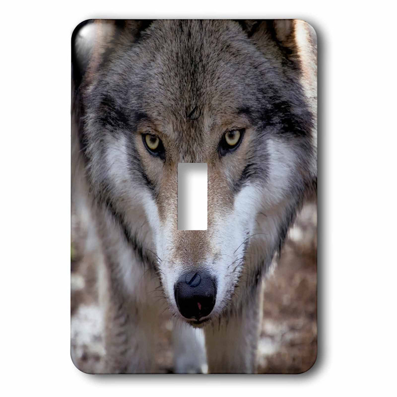3drose New Jersey Wolf 1 Gang Toggle Light Switch Wall Plate Wayfair