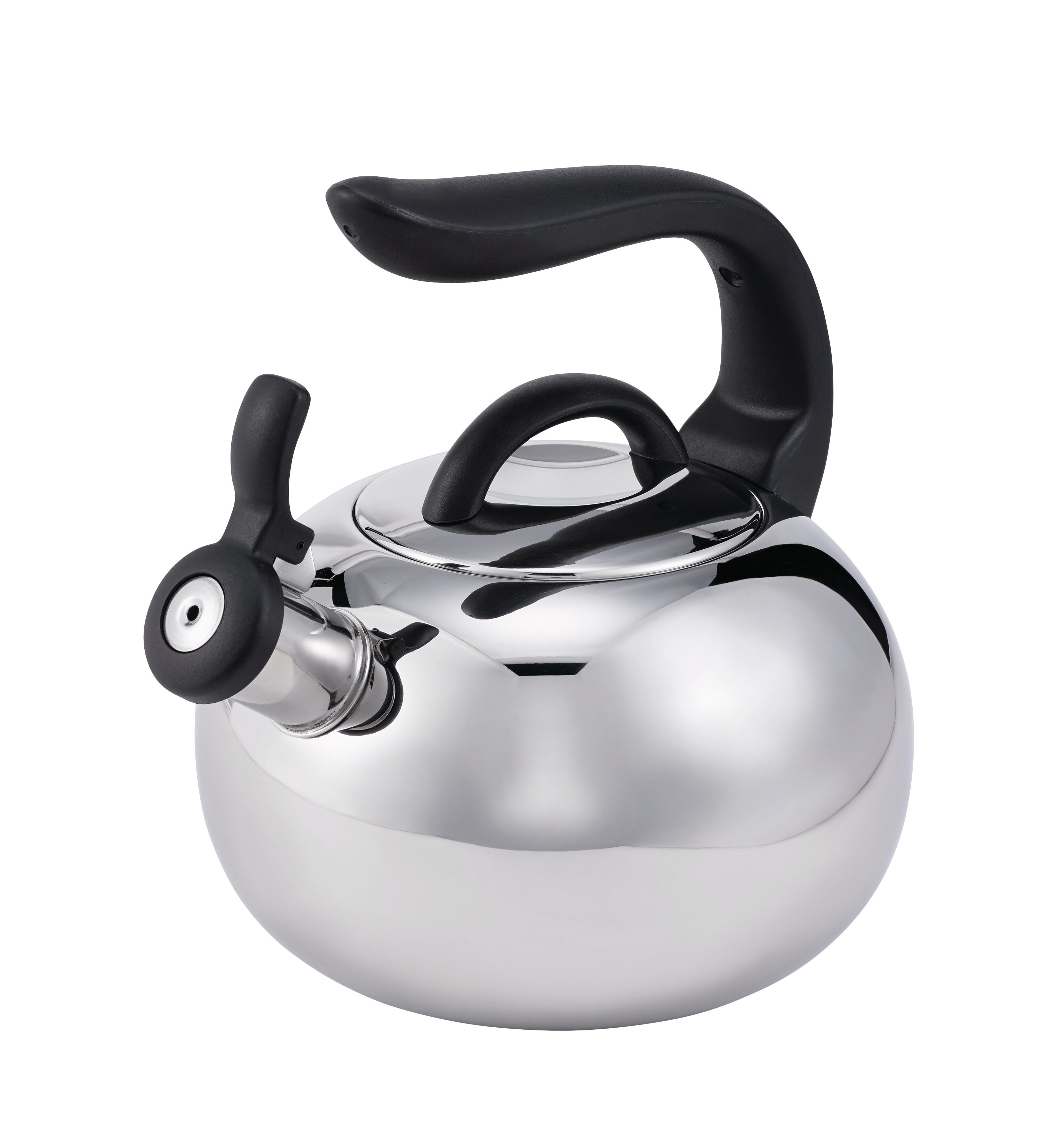 hot Handle and Loud Whistle with Filter 1L DOITOOL Stainless Steel Whistling Tea Kettle Tea Pot Stovetop Anti