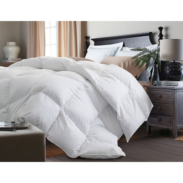 Black Feather Comforter Wayfair