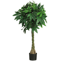 Lucky Tree Wayfair
