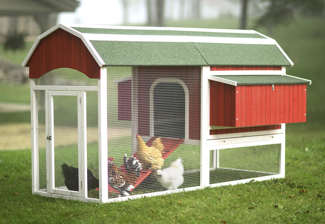 [BIG SALE] Fowl Play Chicken Coops & Garden Gear You’ll Love In 2022