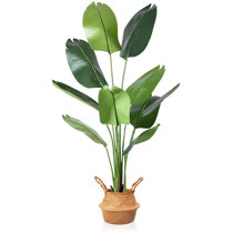 Lush Werandah Artificial Silk Bird of Paradise Palm Tree Potted Plant 3.7' Ft Fake Tropical Palm Tree Faux Strelitzia for Home Office Decor Green