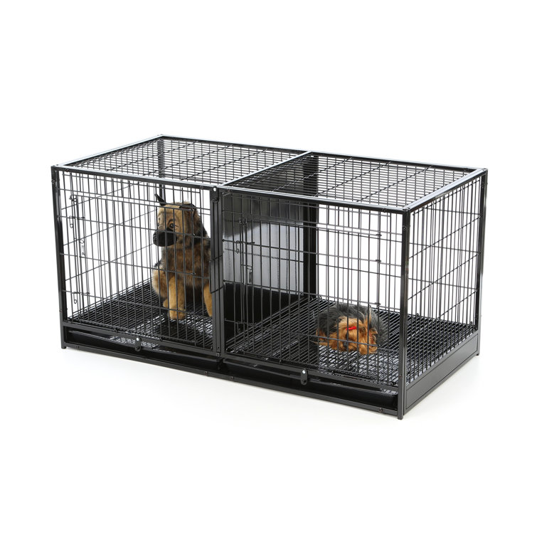divided dog crate