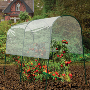 Tomato 4 Ft. W x 6.5 Ft. D Mini Greenhouse