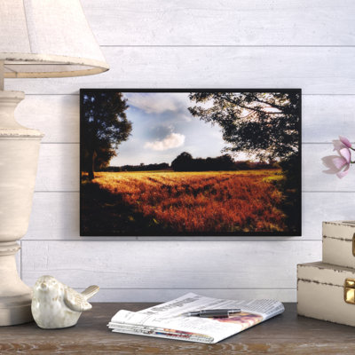 Farmville Framed Photographic Print on Wrapped Canvas August Grove