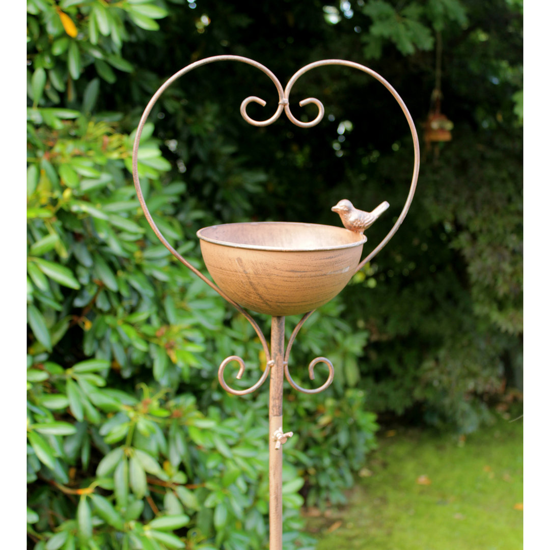 Sara Birdbath