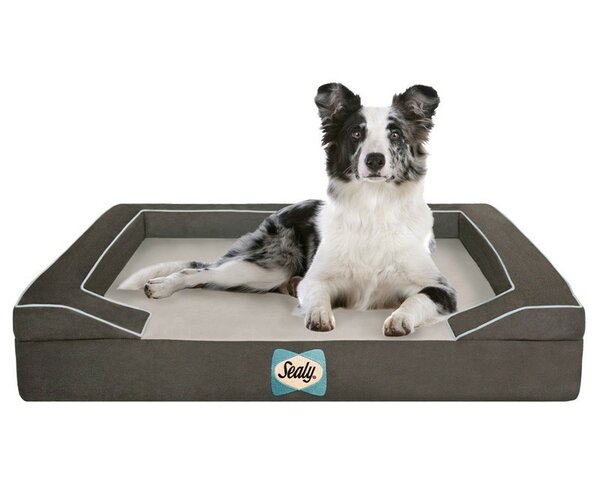 tranquil sleeper memory foam dog bed