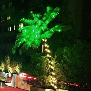 Pre-Lit LED 56 Light Palm Tree