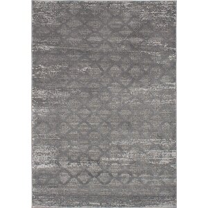 Finian Gray Area Rug