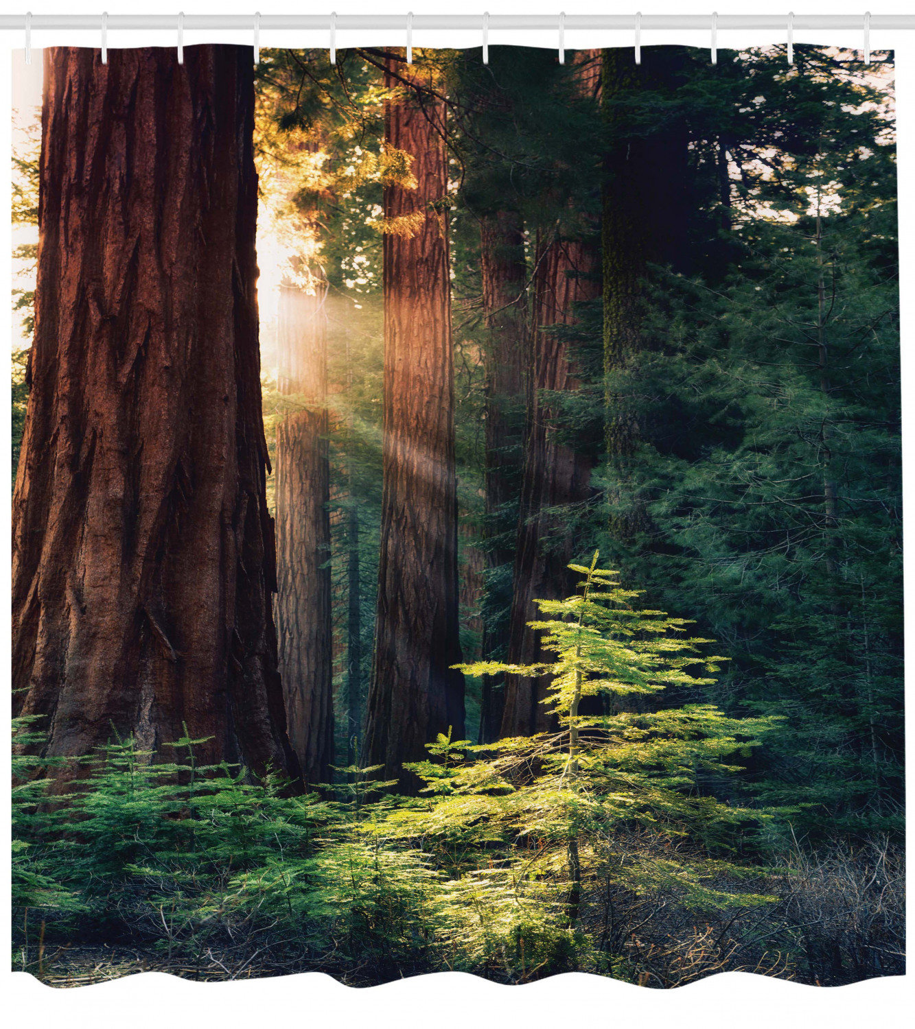 Old Forest Path Sunshine 72x72 Bath Fabric Shower Curtain Set