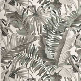 Black Palm Wallpaper Wayfair