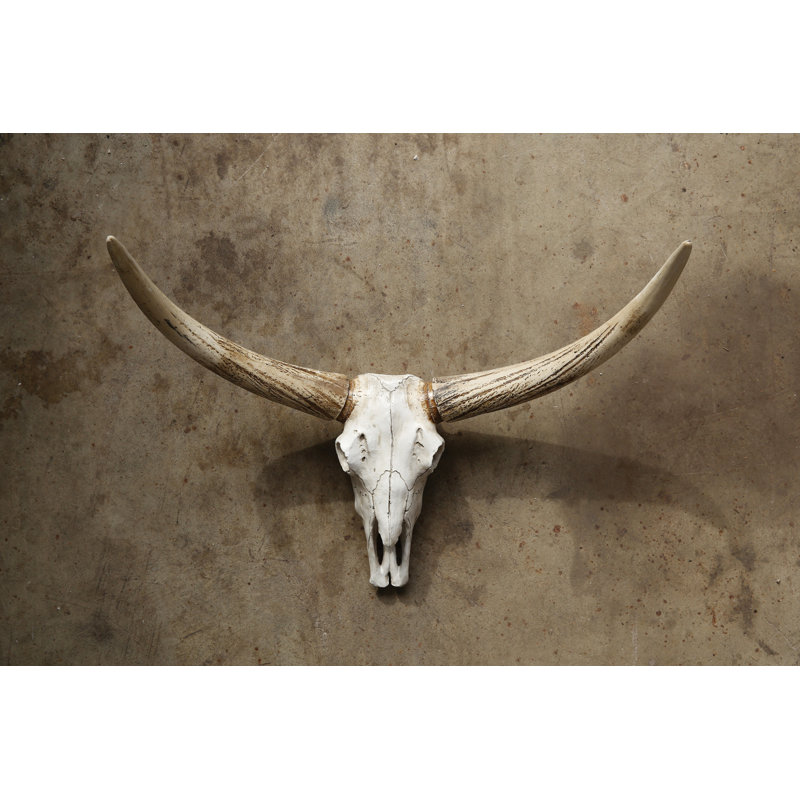Resin Steer Skull Wall Decor Reviews Allmodern
