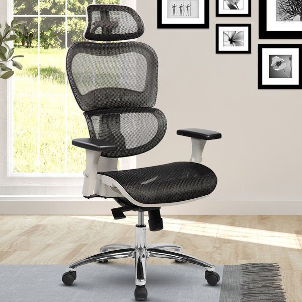Office Chair Stationary Wayfair Office Chair Stationary Wayfair