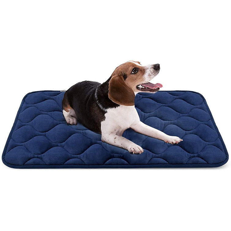 36 inch dog bed