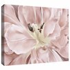 Wayfair | Extra Large Canvas Art