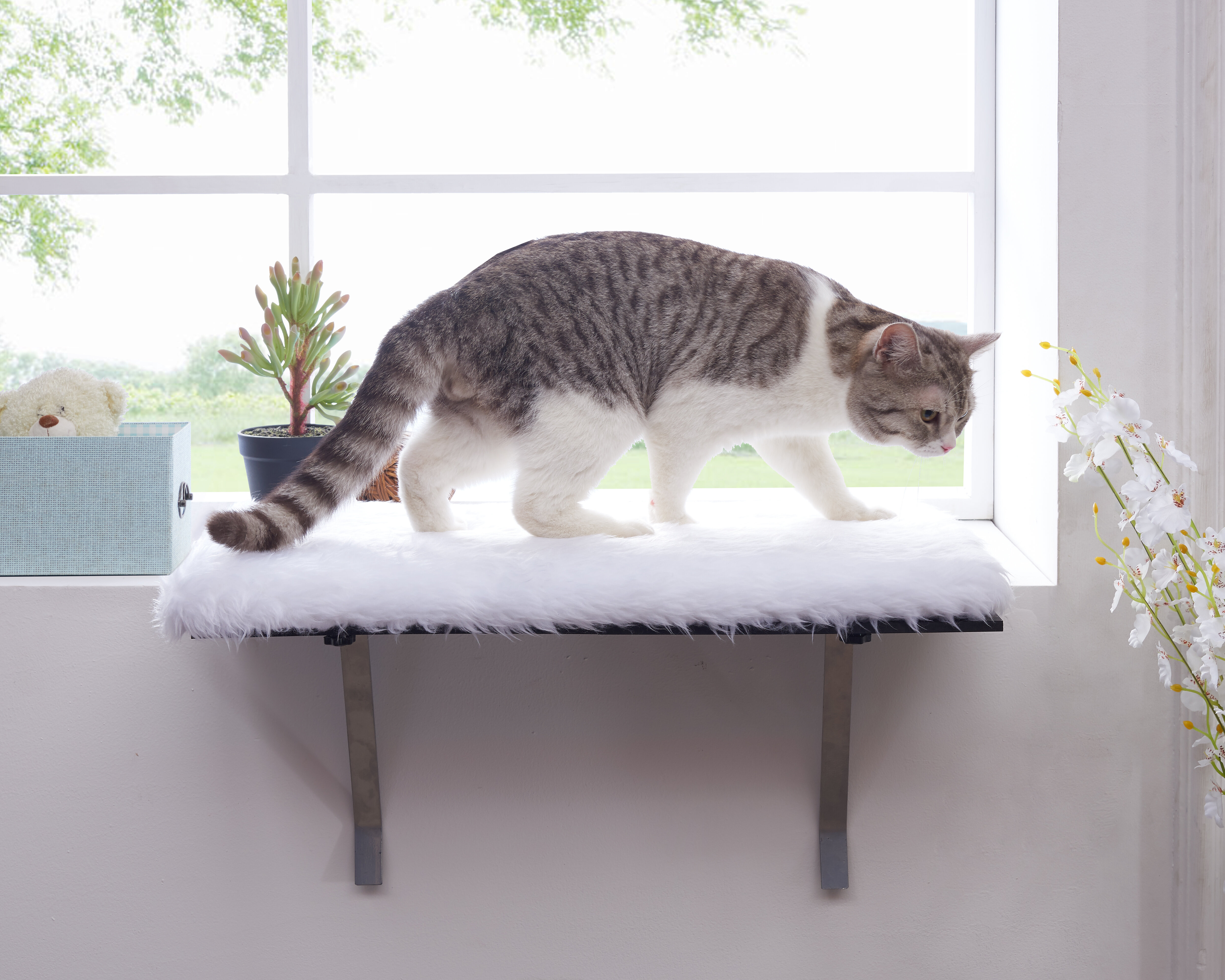 heart to tail window mounted cat bed